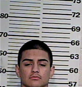 Alfaro Adrian - Hidalgo County, TX 