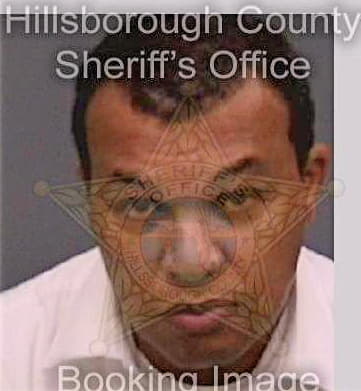 Brown Jomo - Hillsborough County, FL 
