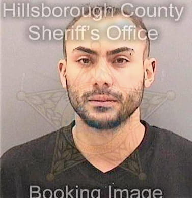 Colonalgarin Jose - Hillsborough County, FL 