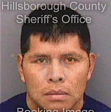 Lorenzo Julio - Hillsborough County, FL 