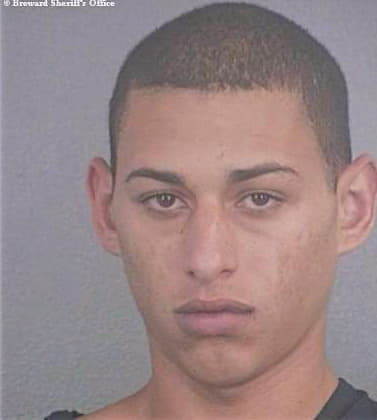 Martinez Luis - Broward County, FL 