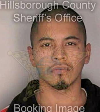 Reyes Mario - Hillsborough County, FL 