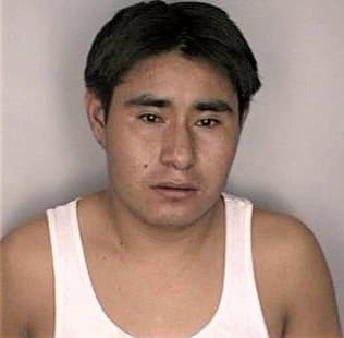 Perez Olegario - Hillsborough County, FL 