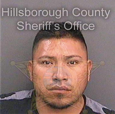 Diazdelacruz Paulino - Hillsborough County, FL 