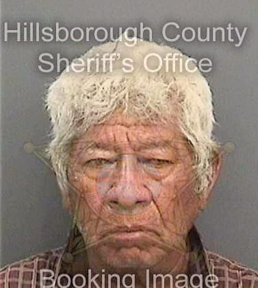 Lara Tomas - Hillsborough County, FL 