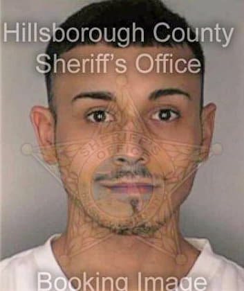 Sepulveda Daniel - Hillsborough County, FL 