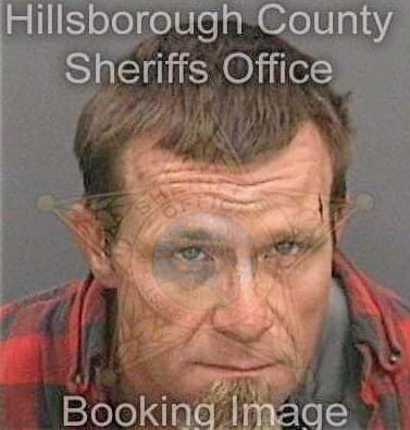 Ellison David - Hillsborough County, FL 