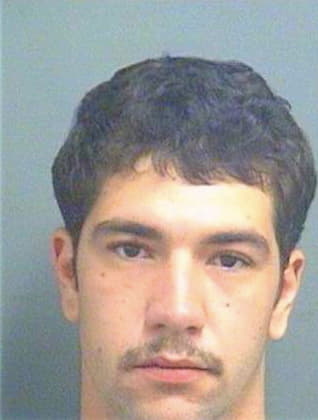 Giordano David - PalmBeach County, FL 