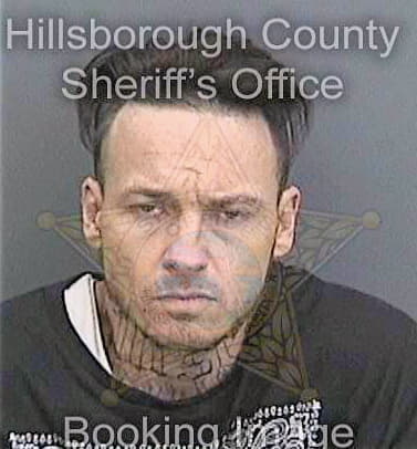 Schwartz Donald - Hillsborough County, FL 