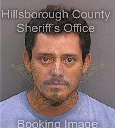 Alvarezsanjuan Jose - Hillsborough County, FL 