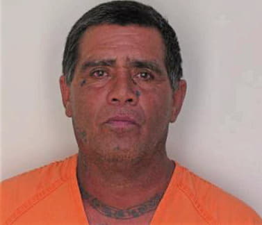 Martinez Ricardo - Hillsborough County, FL 