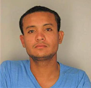 Cedeno Angelo - Hillsborough County, FL 