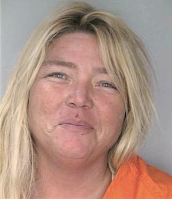 Ramirez Benita - Hillsborough County, FL 