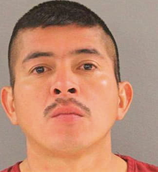 Chanona Rogelio - Knox County, TN 