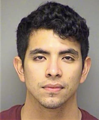 Serna Brandon - Denton County, TX 
