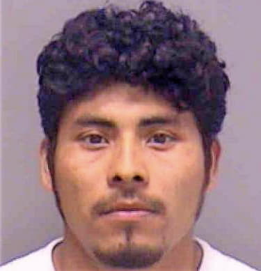 Gonzalez Jairo - Lee County, FL 