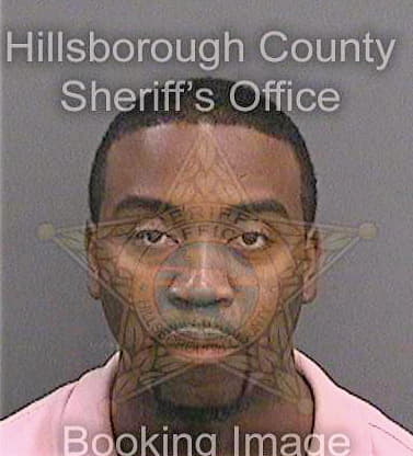 Davis Bruce - Hillsborough County, FL 