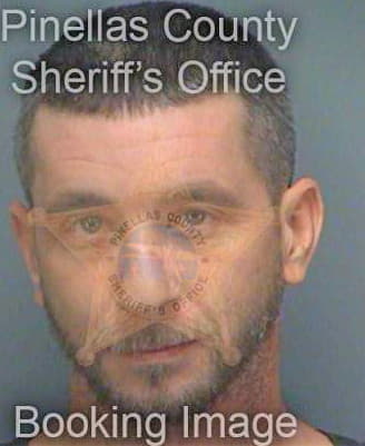 Dibello Joseph - Pinellas County, FL 