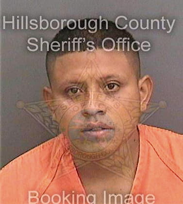 Navamosso Roberto - Hillsborough County, FL 