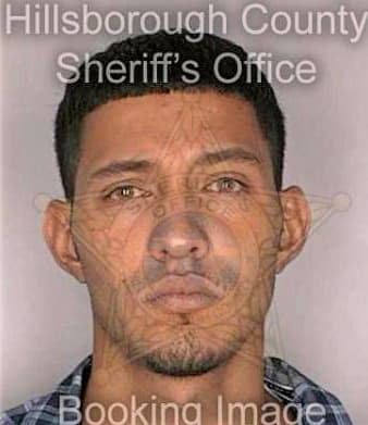 Dejesus John - Hillsborough County, FL 