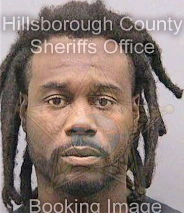 Simpson Leroy - Hillsborough County, FL 