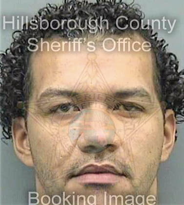 Baez Martin - Hillsborough County, FL 