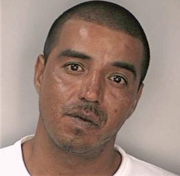 Degolladogarcia Alejandro - Hillsborough County, FL 