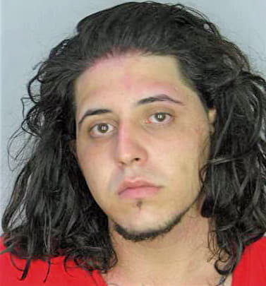 Rodriguez Angel - Hillsborough County, FL 