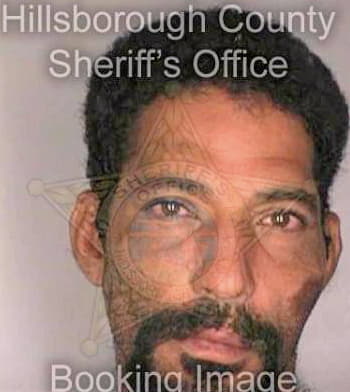 Vega Daniel - Hillsborough County, FL 