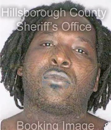 Pattersaul Dimitris - Hillsborough County, FL 