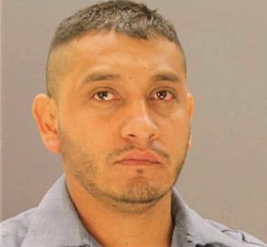 Veloz Efren - Dallas County, TX 