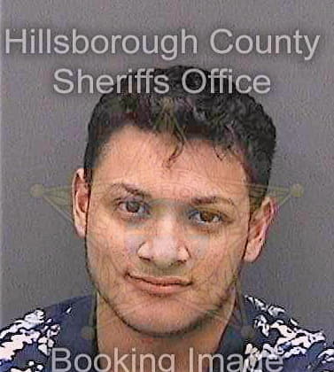 Henriquezdiaz Erick - Hillsborough County, FL 