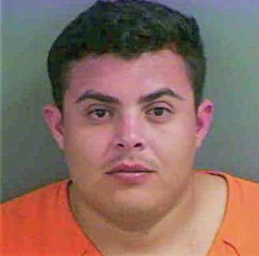 Berrios Henry - Collier County, FL 