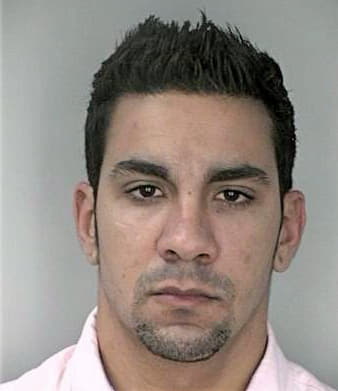 Pena Sandro - Hillsborough County, FL 
