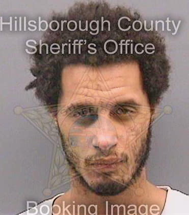 Smith Deandre - Hillsborough County, FL 