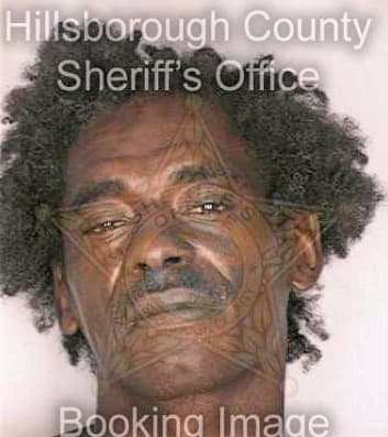 Mcgee Anthony - Hillsborough County, FL 