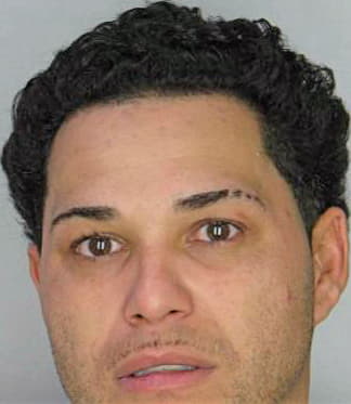 Dejesus Bruce - Hillsborough County, FL 