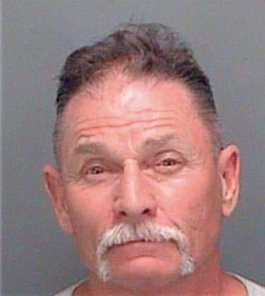 Mcmillan James - Pinellas County, FL 