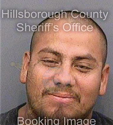 Medina Juan - Hillsborough County, FL 