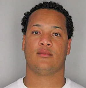 Carrasco Reyes - Hillsborough County, FL 