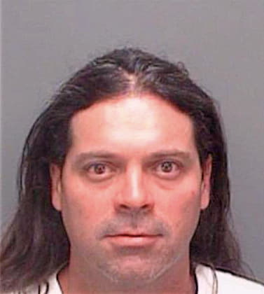Warner David - Pinellas County, FL 
