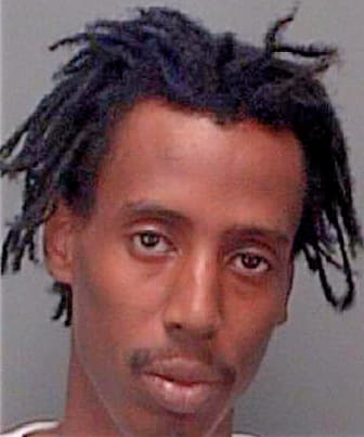 Diggins O - Pinellas County, FL 