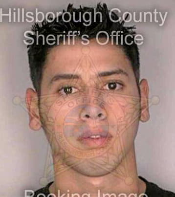 Marcano Steven - Hillsborough County, FL 