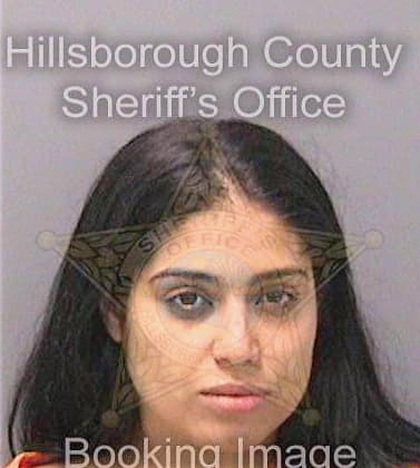Perezgonzalez Dayami - Hillsborough County, FL 