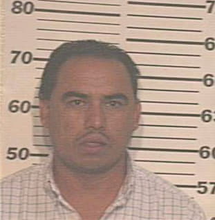 Alvarez Francisco - Hidalgo County, TX 