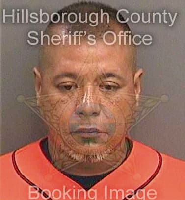 Castro Luis - Hillsborough County, FL 