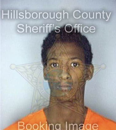 Mccallum Anthony - Hillsborough County, FL 