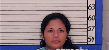 Castillo Christina - Comal County, TX 