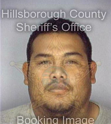 Perez David - Hillsborough County, FL 