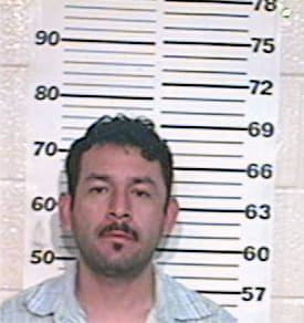 Pena Ernesto - Hidalgo County, TX 